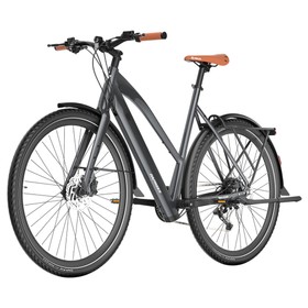 Fafrees F700W Electric Bike 250W 36V 10Ah Black