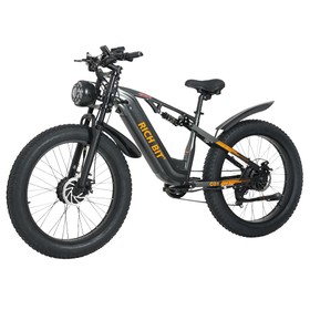 Rich Bit C01 Electric Bike 750W*2 48V 20Ah