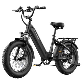 FAFREES F20 Rover Electric Bike 250W 48V 20Ah Black